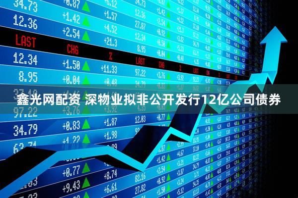 鑫光网配资 深物业拟非公开发行12亿公司债券