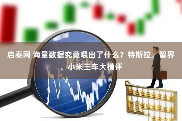 启泰网 海量数据究竟喂出了什么？特斯拉、智界、小米三车大横评