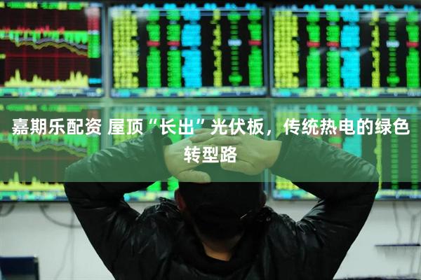 嘉期乐配资 屋顶“长出”光伏板，传统热电的绿色转型路