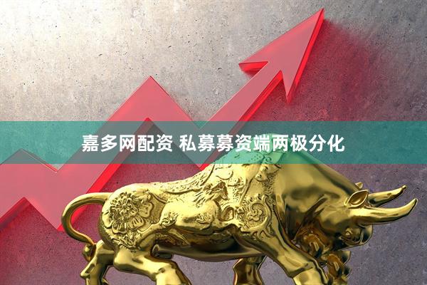 嘉多网配资 私募募资端两极分化